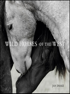 cover image of Wild Horses of the West